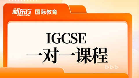 IGCSEһһγ